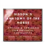 Horse Anatomy Kindle Book by INH Media-0