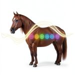 Equine Medicine Kindle Amazon eBook 172 pages-0