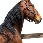 Equine Medicine Kindle Book CR Lockton DVM-0