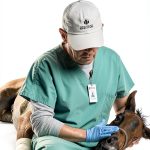 Equine Medicine Kindle Book by Leslie Guttman-0