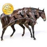 Equine Medicine Kindle Book by Trafalgar Square Books-0