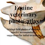 Equine Medicine Kindle eBook by Amazon 587 Pages-0