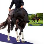 Equine Medicine Kindle Book Trafalgar Square-0