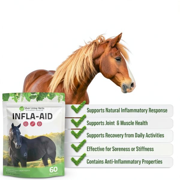Silver Lining Herbs Infla-Aid Horse Anti-Inflammatory 1 lb 60 Servings-1