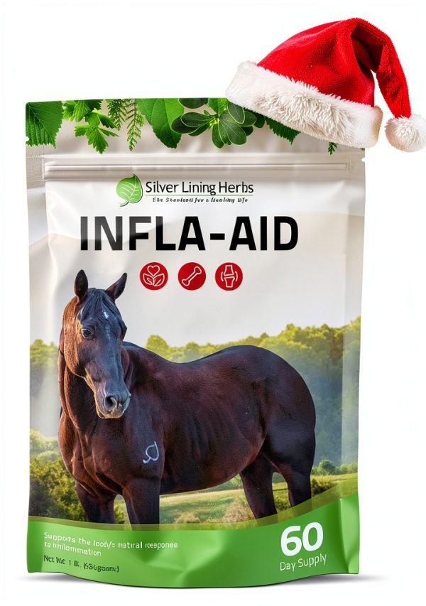 Silver Lining Herbs Infla-Aid Horse Anti-Inflammatory 1 lb 60 Servings-0