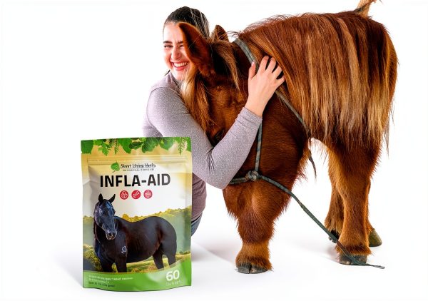 Silver Lining Herbs Infla-Aid Horse Anti-Inflammatory 1 lb 60 Servings-7