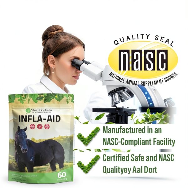 Silver Lining Herbs Infla-Aid Horse Anti-Inflammatory 1 lb 60 Servings-6
